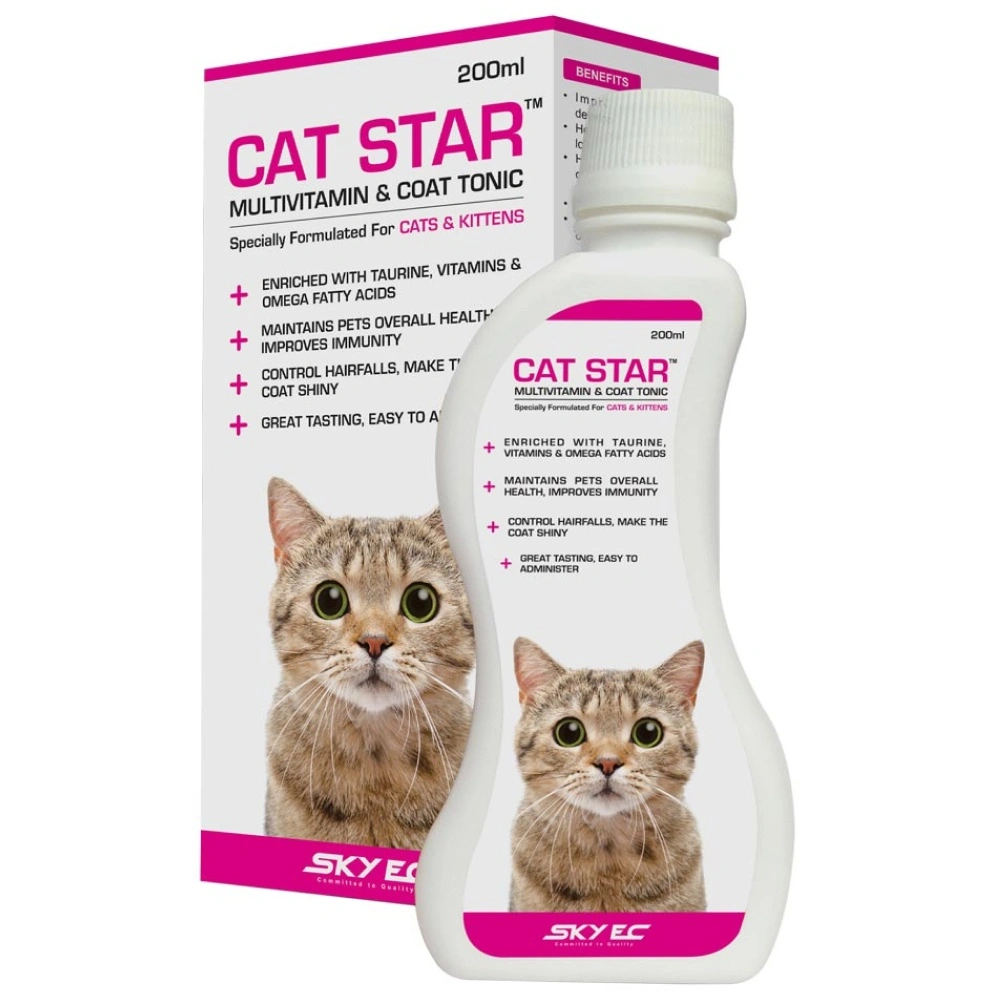 Cat Star view 2