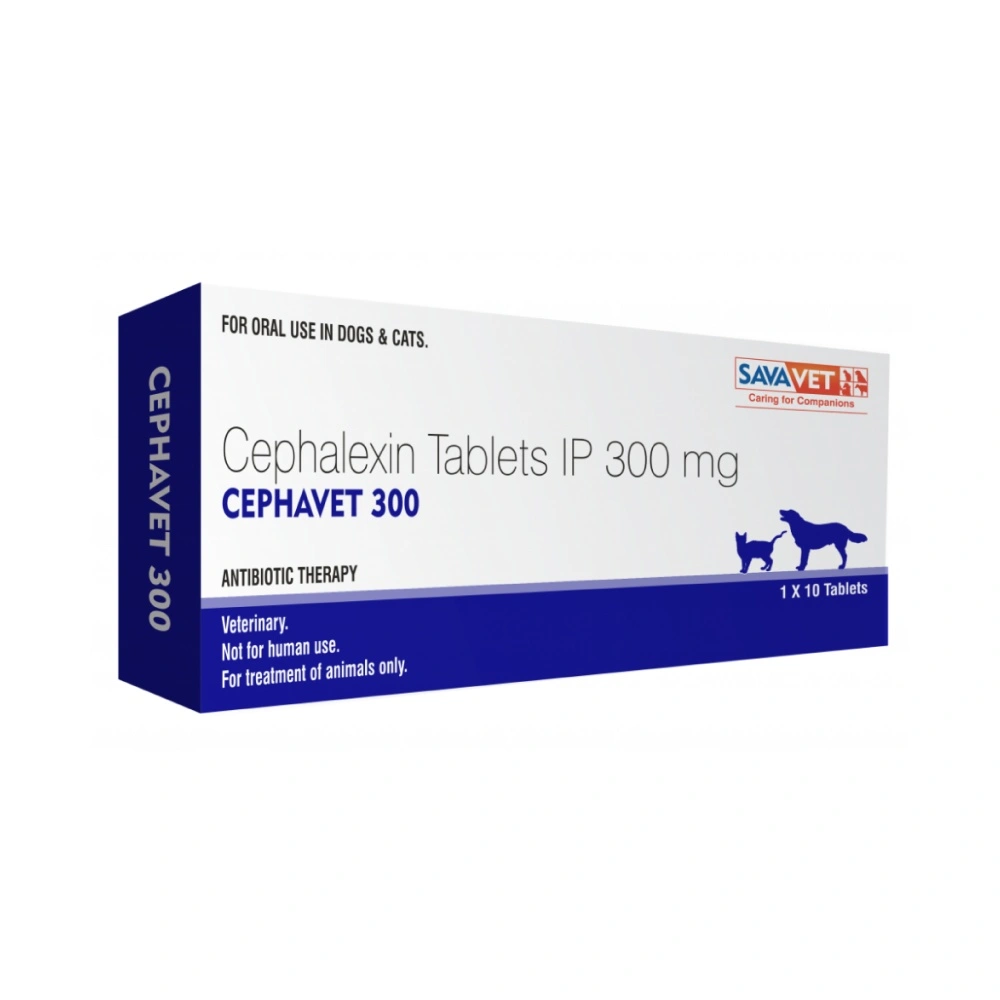 Cephalexin Tablet 300 mg view 2