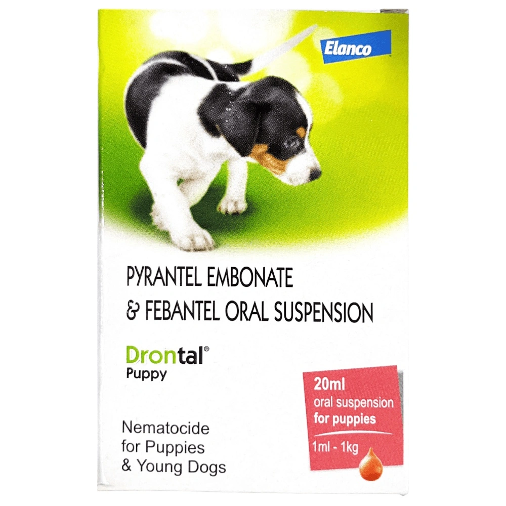 Drontal Puppy Syrup