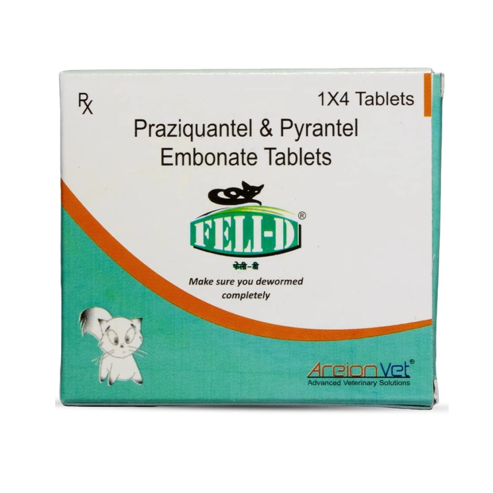 Feli-D Tablet view 2