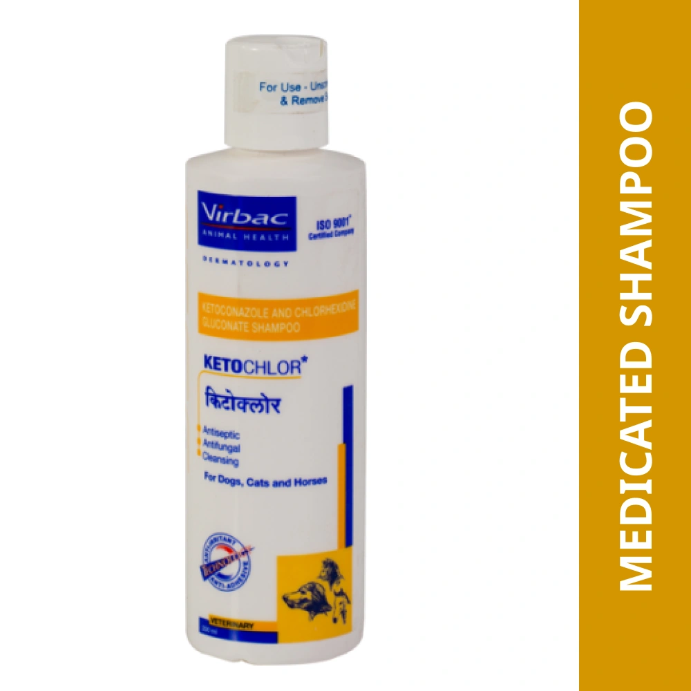 Kitochlor Shampoo — Antiseptic / Antifungal