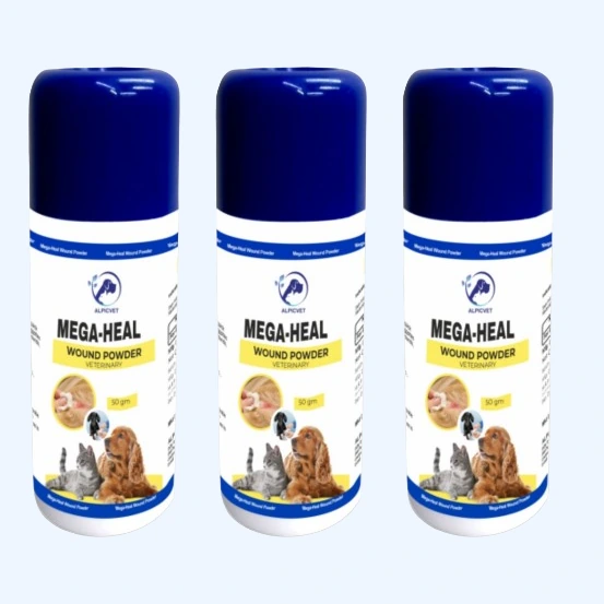 Mega Heal Powder