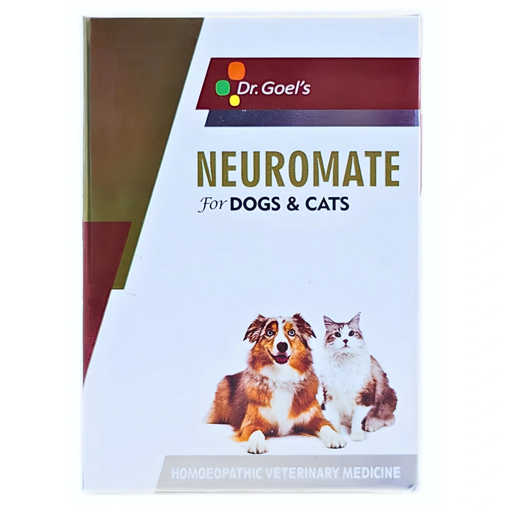 Neuromate — Epilepsy / Seizure-Related Product view 3