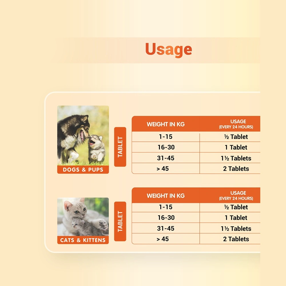 Orthoron Tablet view 8