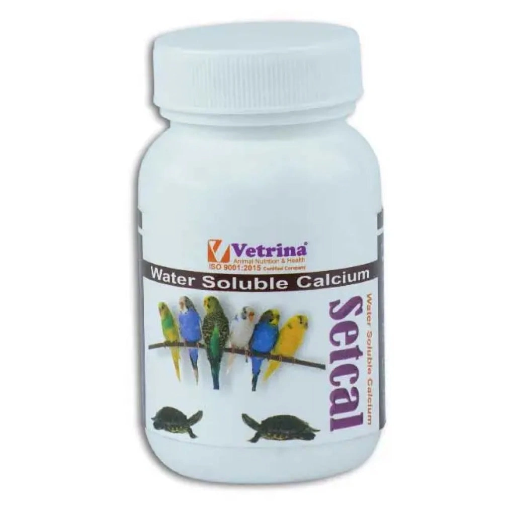 Setcal Powder view 2