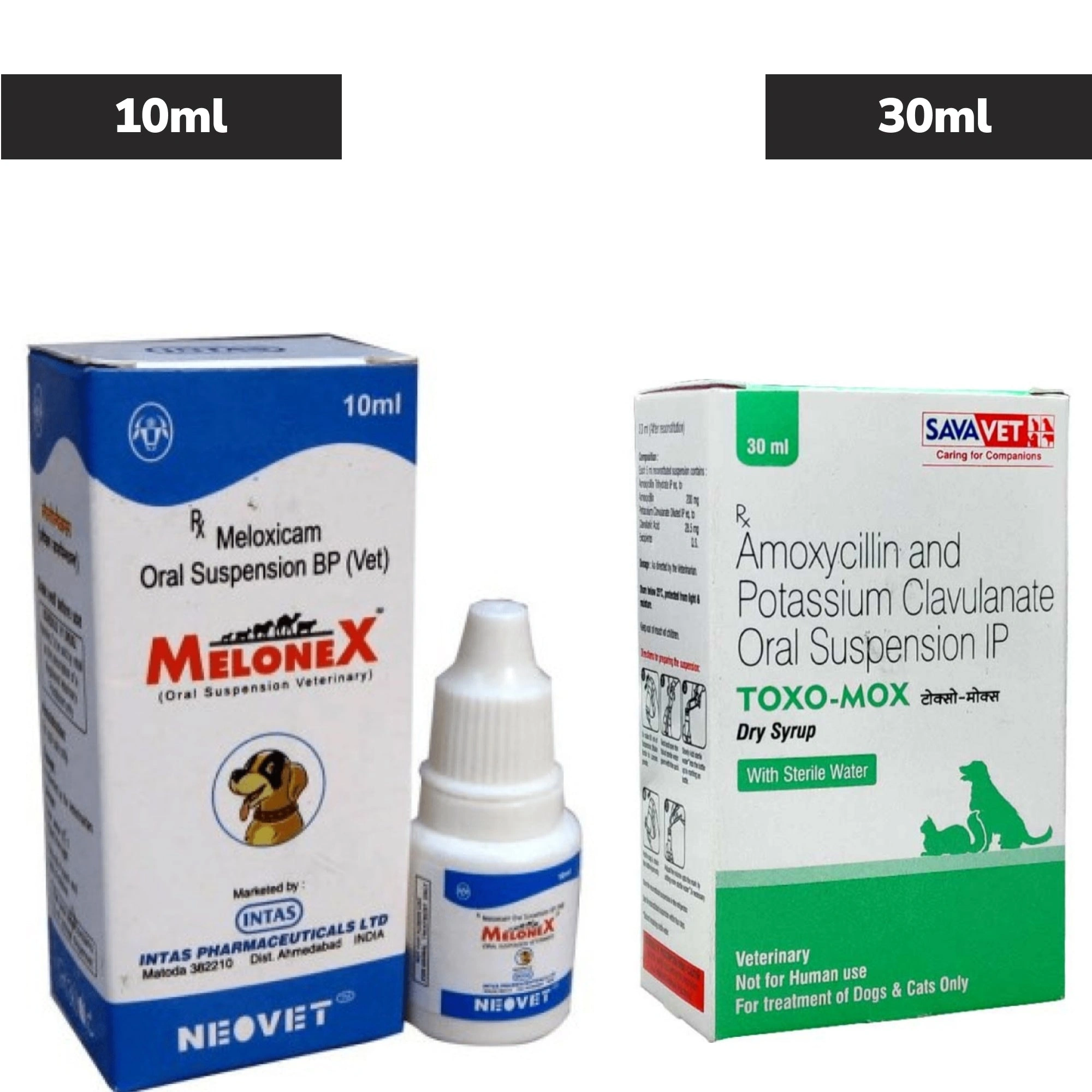 Toxo-Mox Syrup