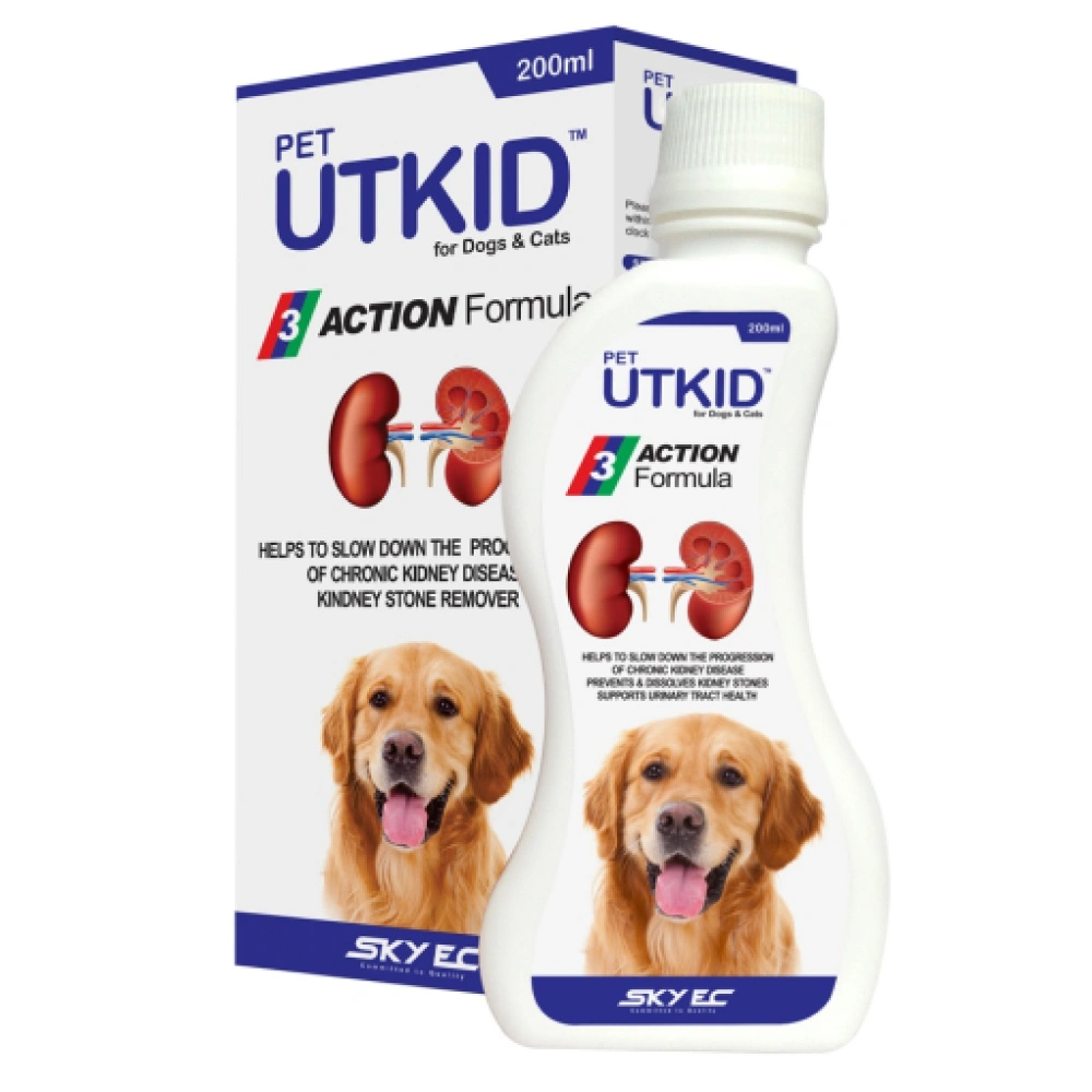 UTKID view 2